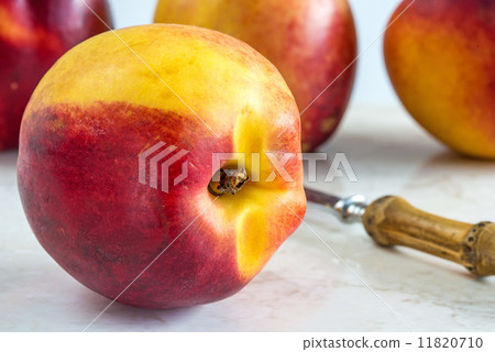 nectarine 11820710