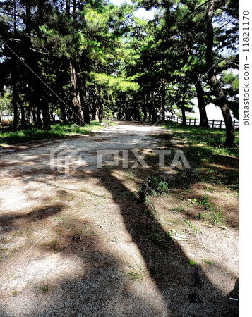 長崎海道道松月 11821170