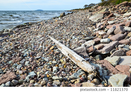 Driftwood at stony coast Driftwood at stony coast 11821370