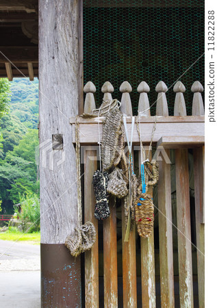 Kimikaze的螞蚱在圖像的 11822288