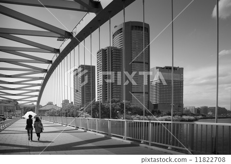 Silver Bridge 11822708