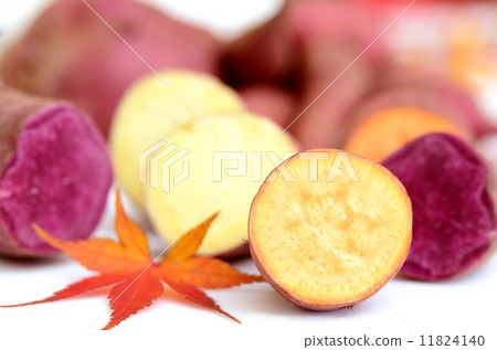 Sweet potato 11824140