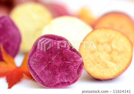 Sweet potato Sweet potato 11824141