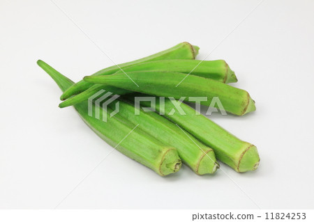 Okra Okra 11824253