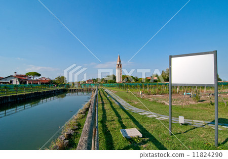 Venice Burano Mazorbo vineyard Venice Burano Mazorbo vineyard 11824290