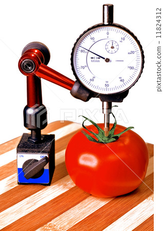 precision tomato precision tomato 11824312