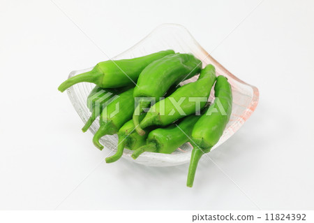 green pepper green pepper 11824392