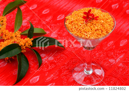 Kinmokusei Kinmokusei 11824802