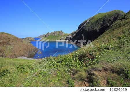 從Rebunjima / Chen Hai Cape查看 11824959