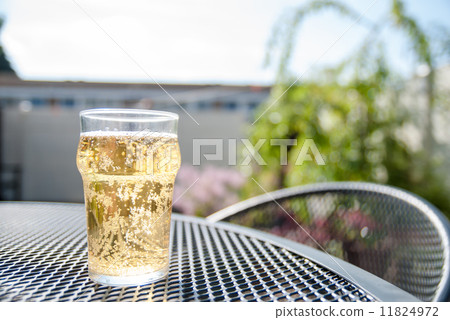 Cup cider enjoying in the garden (cider) 11824972