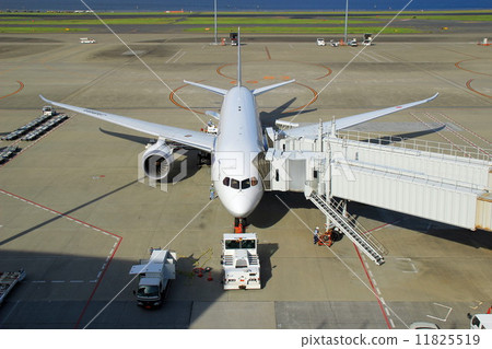 飛機 11825519