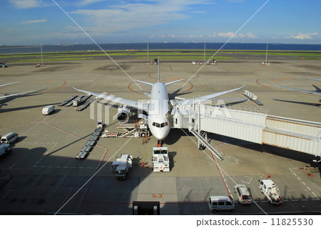 機場 11825530