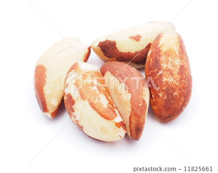 nuts on a white background nuts on a white background 11825661