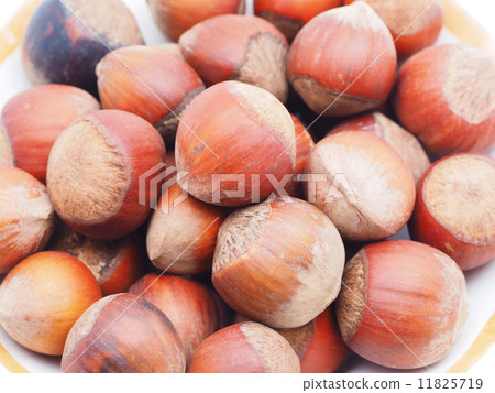 hazelnuts on a white background hazelnuts on a white background 11825719