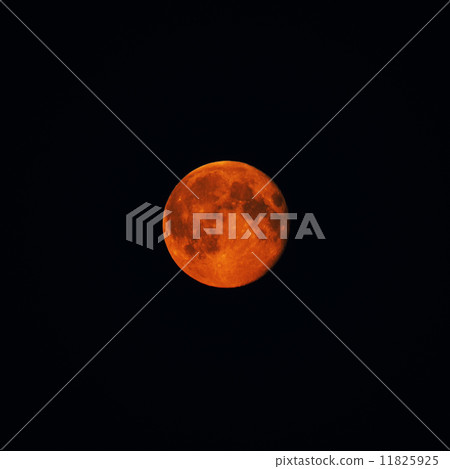 moon moon 11825925