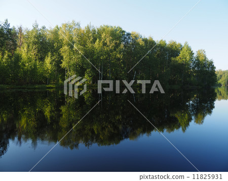 forest lake. karelia 11825931