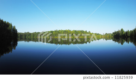forest lake. karelia forest lake. karelia 11825939