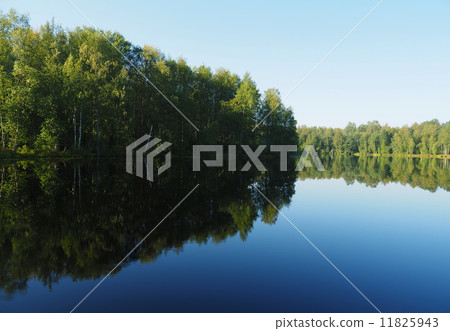 forest lake. karelia forest lake. karelia 11825943