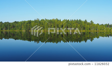 forest lake. karelia forest lake. karelia 11826032