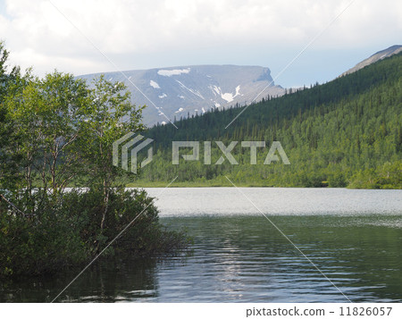 Lake in the mountains 11826057