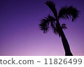 夏天的黃昏 11826499