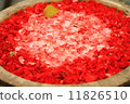 花瓣池 11826510