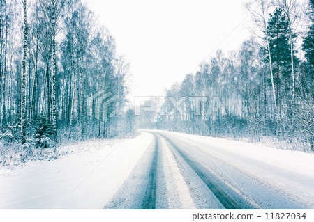 Snowy Land Road 11827034