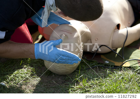 First aid training  First aid training  11827292