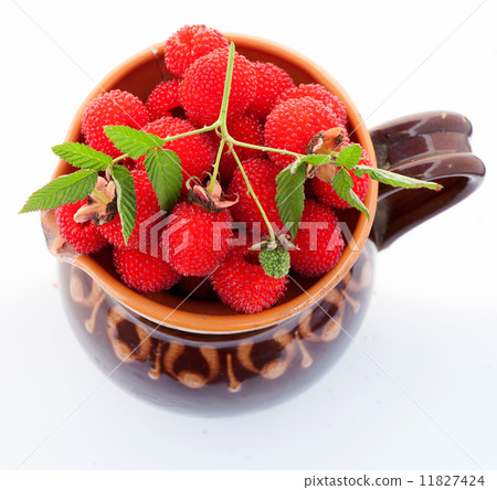 berry garden hybrid of blackberry and raspberry in a clay jug berry garden hybrid of blackberry and raspberry in a clay jug 11827424
