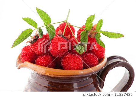 berry garden hybrid of blackberry and raspberry in a clay jug berry garden hybrid of blackberry and raspberry in a clay jug 11827425