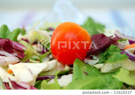 mixed salad 11828337