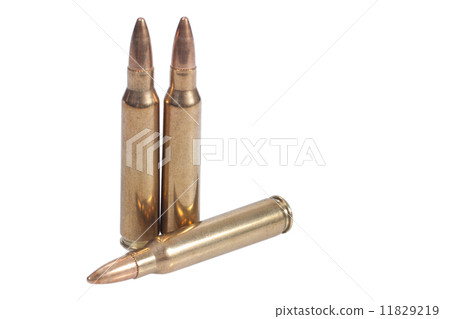 223 caliber rifle ammunition 11829219