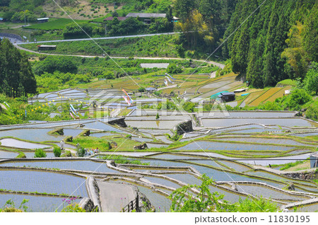 A thousand sheets 11830195