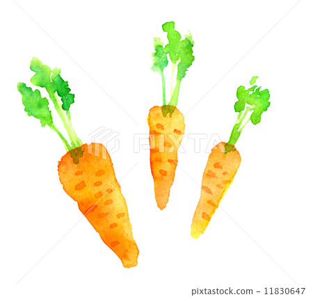 Carrots Carrots 11830647