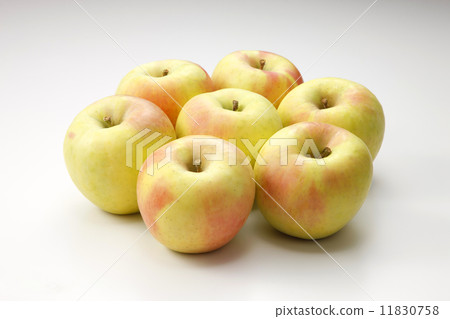 The moon apple The moon apple 11830758