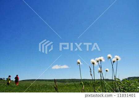 Rainyuunumi Mogahara Rainyuunumi Mogahara 11831401