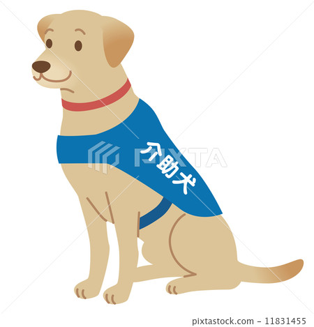 assistance dog coat