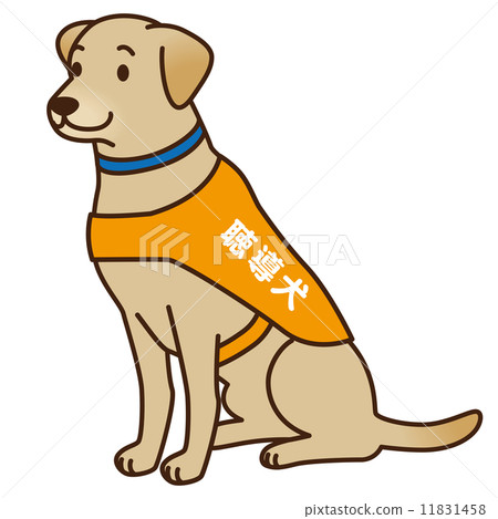 Hearing dog assist dog 11831458