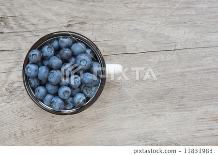 Blueberries in the enamel mug 11831983