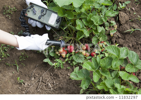 Measuring radiation Measuring radiation 11832297