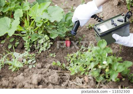 Measuring radiation  11832300