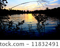 Showa Memorial Park Evening view from a pond of waterfowl 11832491