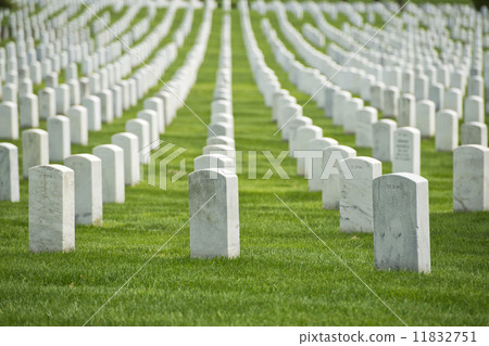 arlington cemetery graveyard arlington cemetery graveyard 11832751