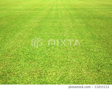 greensward 11833112