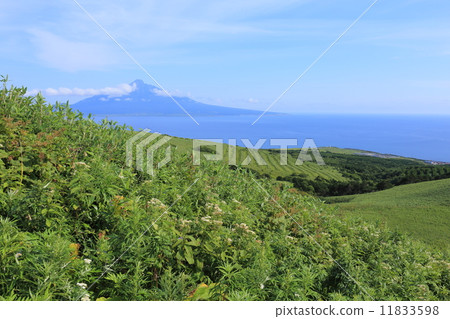 View from Rebunjima / Momoiwa Promenade 11833598