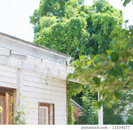 Natural house Natural house 11834877