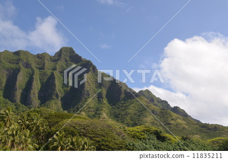 quarona lunch, mountain, kualoa 11835211