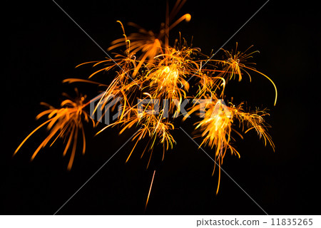 Sparkler Sparkler 11835265