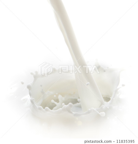 milk splash milk splash 11835395