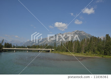 At the Bow River 11836361